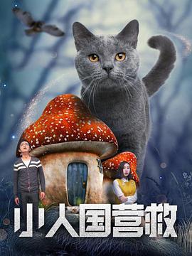 夜夜操夜夜爽
