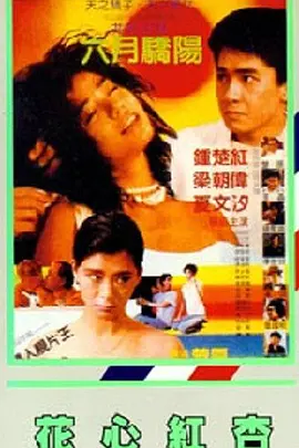 援交视频