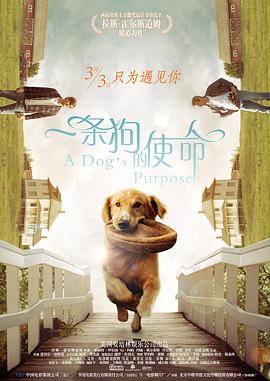 成人叼嘿视频免费网站