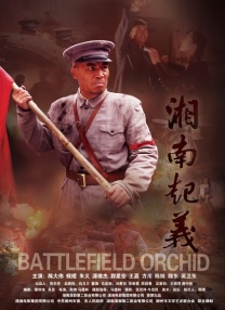 枫花恋车牌