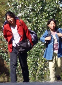 一个号马瑟