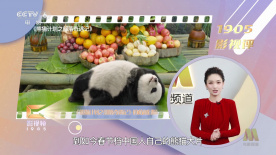 91色蝌蚪视频