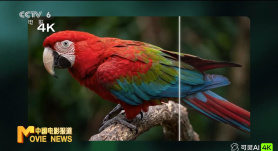 wow163